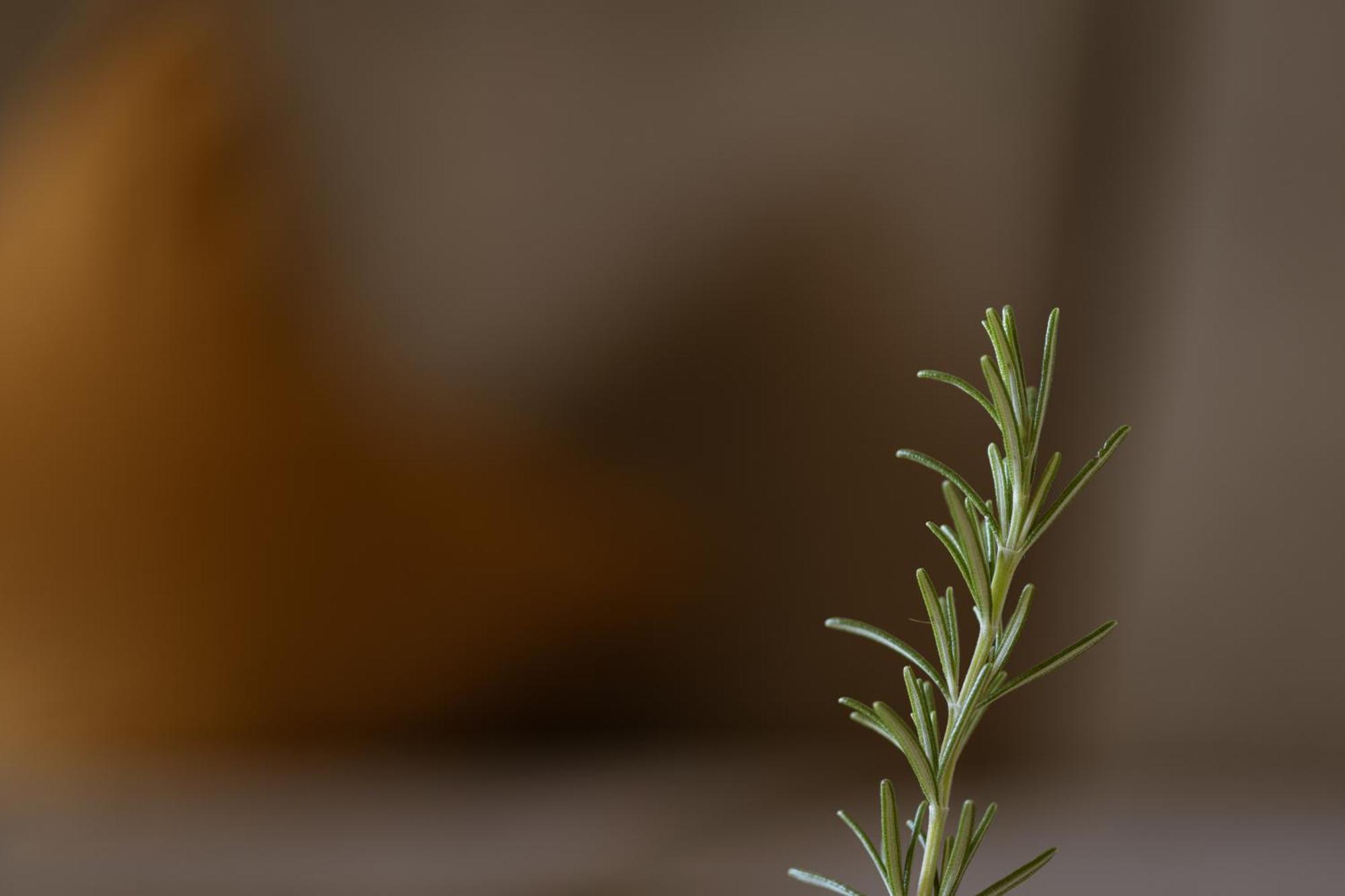 שנה Residence Walchhof מראה חיצוני תמונה